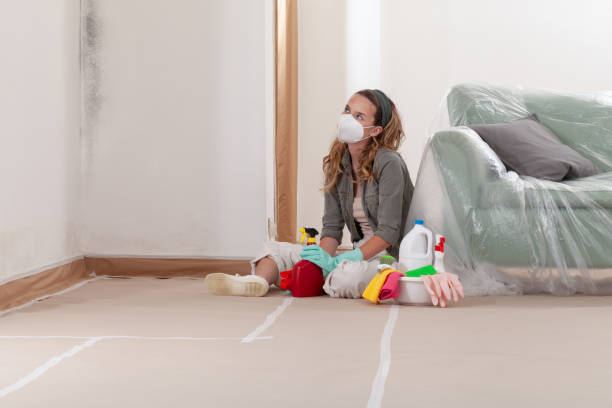Reliable Bathroom Mold Removal contractor in Olney, IL by WQB Mold Removal